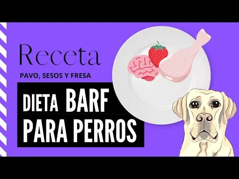 BARF de pavo, pollo y fresas