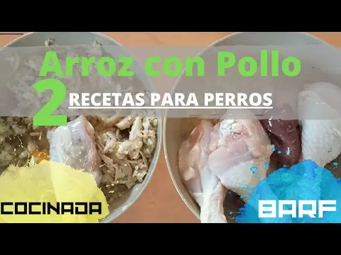 BARF de pollo con arroz integral
