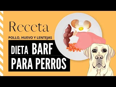 BARF de pollo, huevo y lentejas