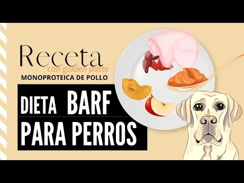 BARF de pollo, manzana y calabaza