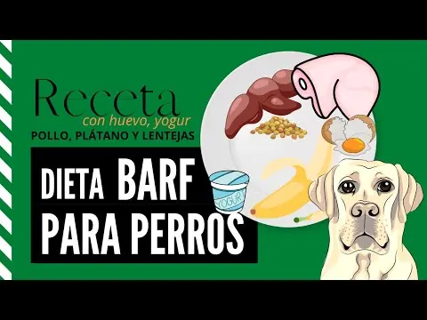 BARF de pollo, plátano y lentejas