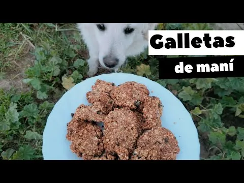 Galletas de cacahuete e hígado