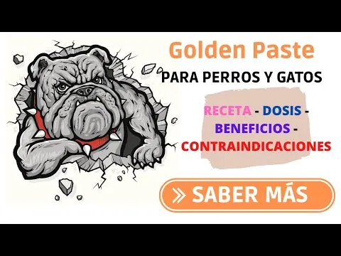 Golden paste: pasta de cúrcuma paso a paso