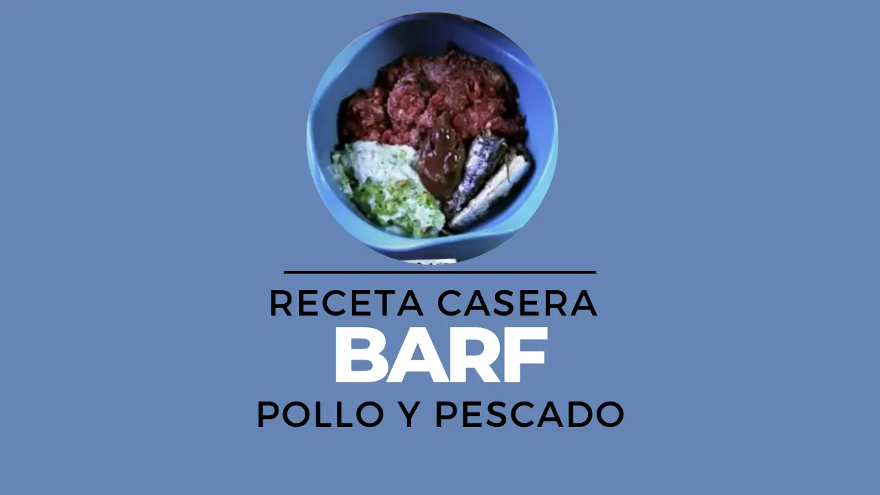 BARF de pollo y sardinas