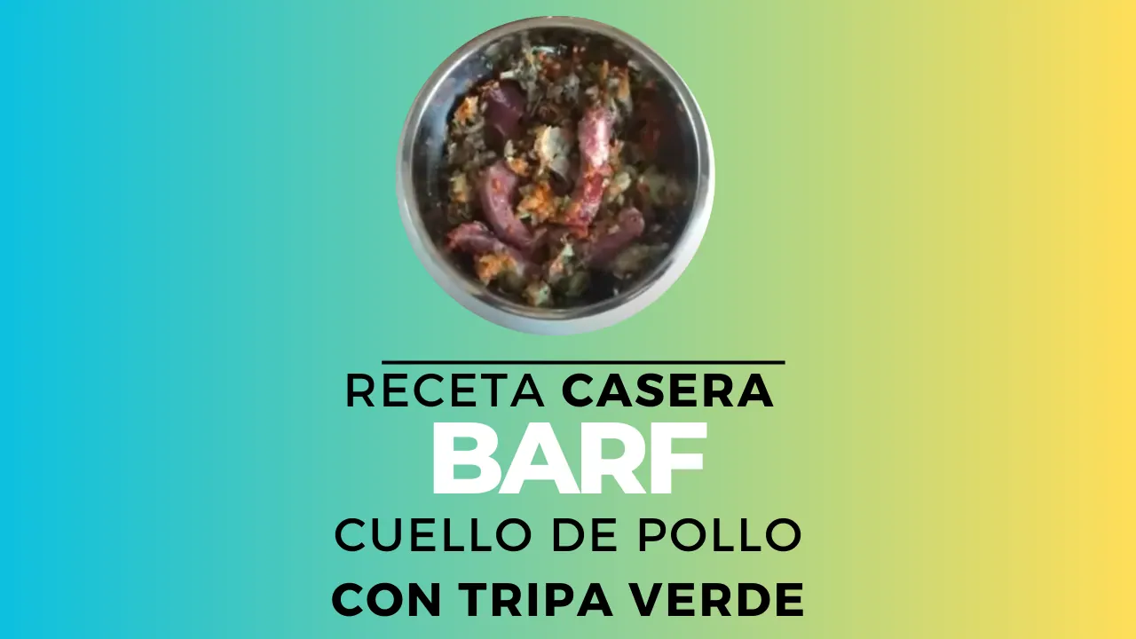 BARF de pollo y tripa verde