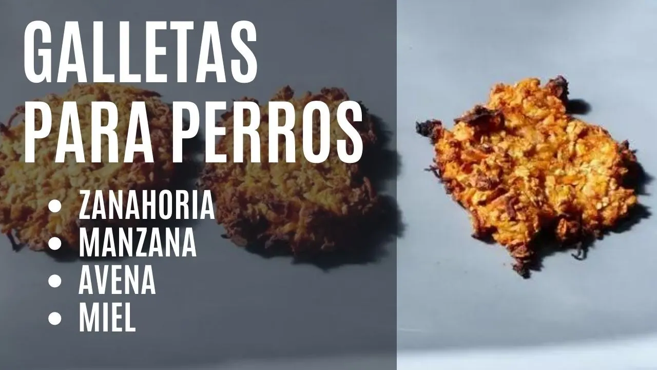 Galletas de manzana y zanahoria