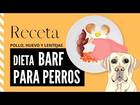 BARF de pollo, huevo y lentejas