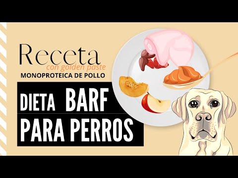 BARF de pollo, manzana y calabaza