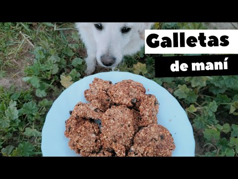 Galletas de cacahuete e hígado