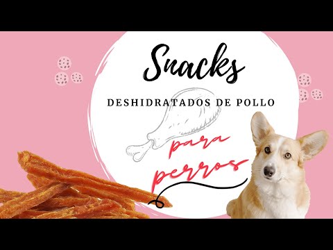 Tiras de pollo deshidratado