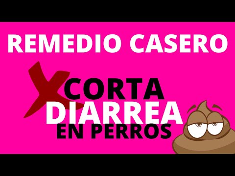 Sopa de zanahoria: preparación del archivo