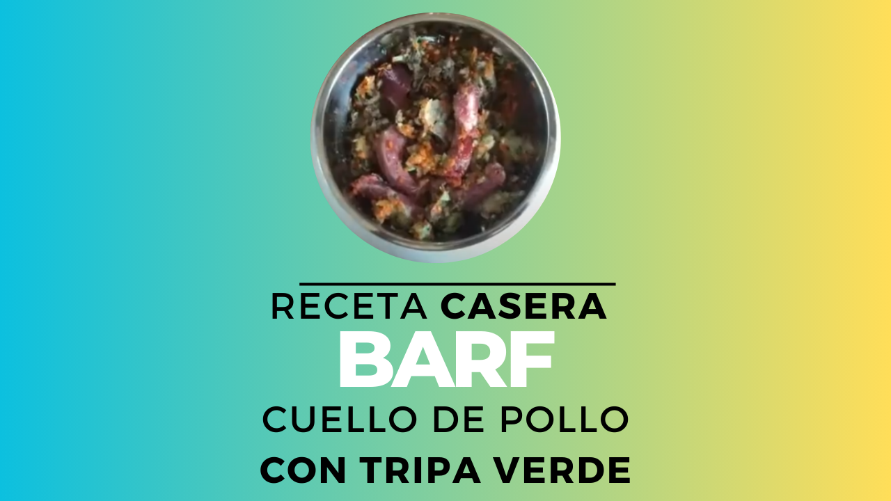 BARF de pollo y tripa verde