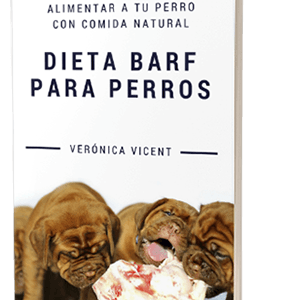 Dieta BARF para perros Guía completa para alimentar a tu perro con comida natural
