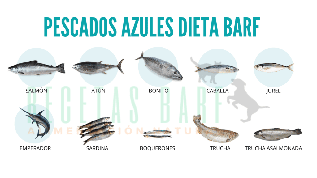 pescados azules dieta barf