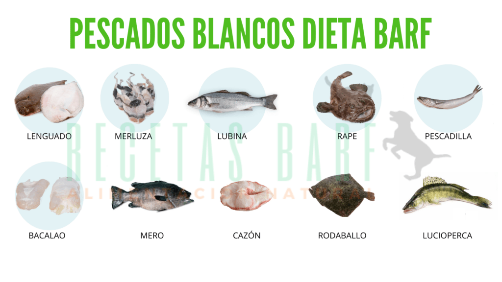 pescados blancos dieta barf