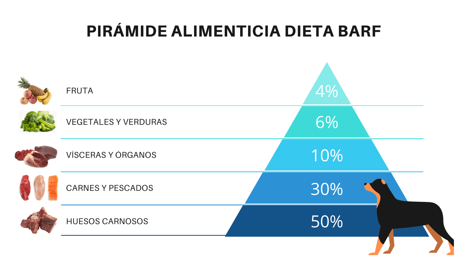Pirámide alimenticia Dieta Barf