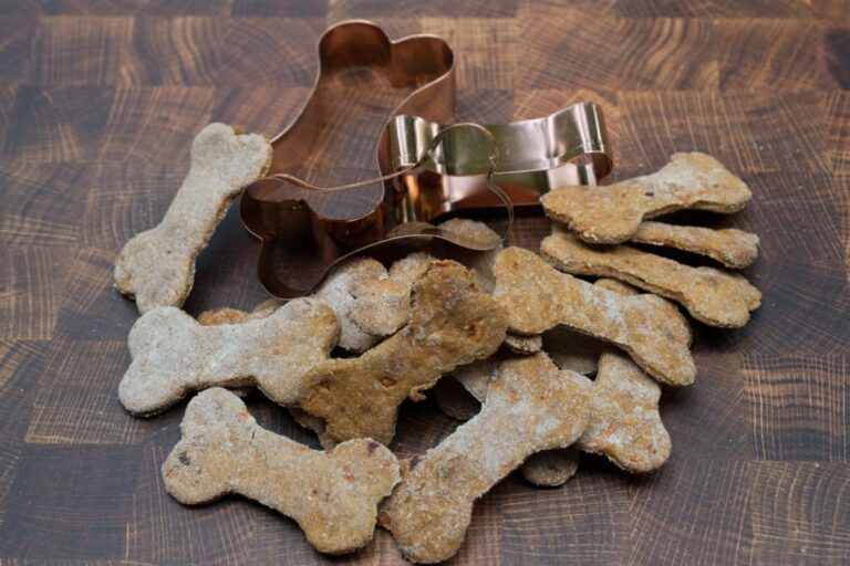 Galletas para Perros 🍪 Recetas caseras y fáciles