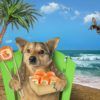 receta arroz perros