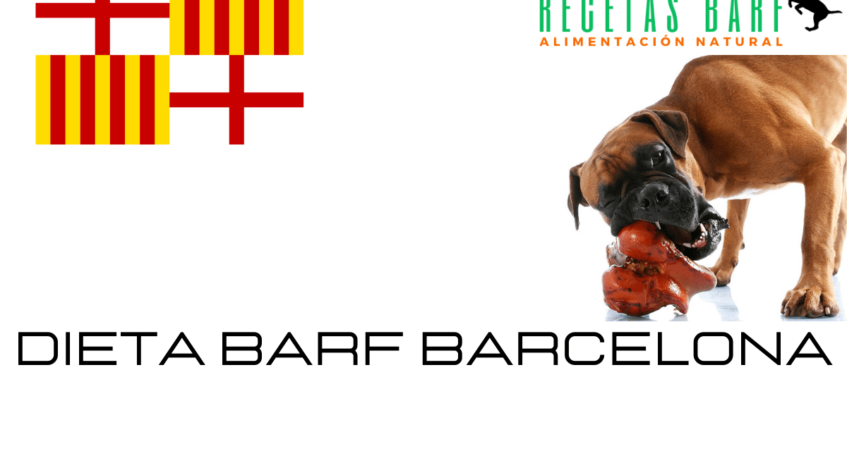 https://recetasbarf.com/wp-content/uploads/2021/08/comida-barf-barcelona-1200x640.png
