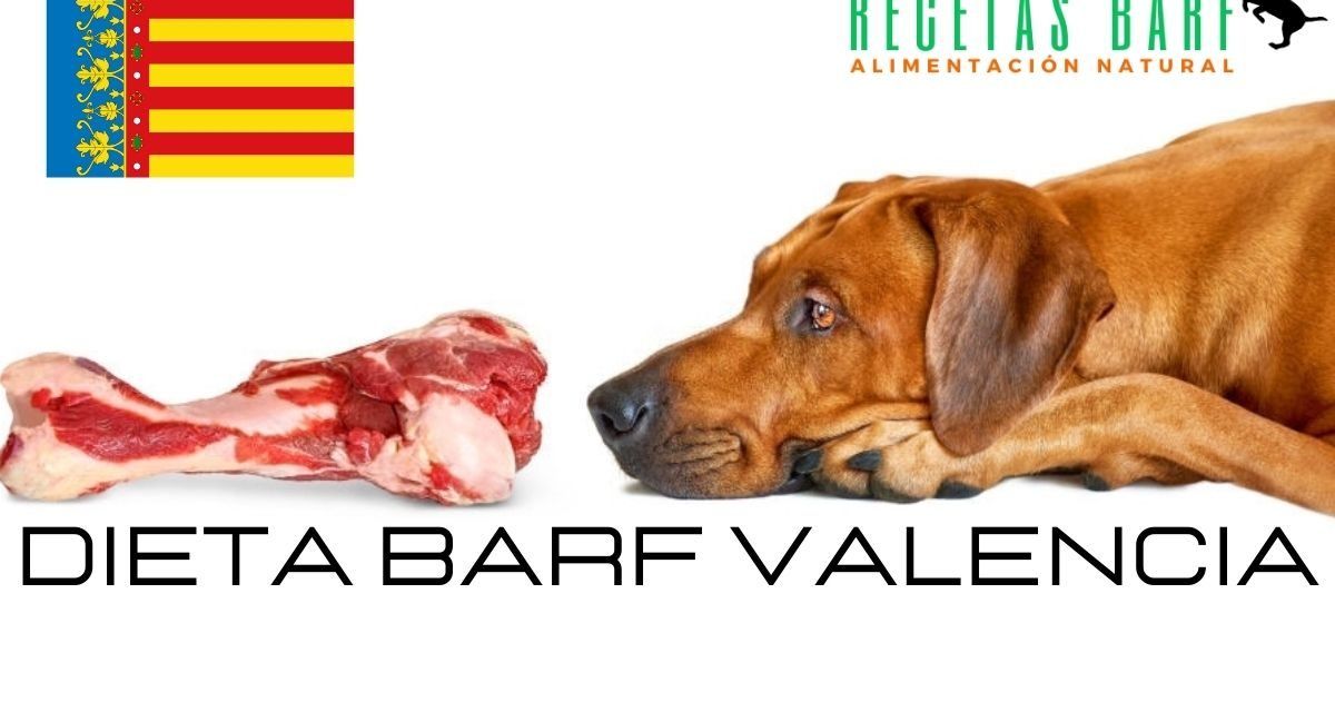 https://recetasbarf.com/wp-content/uploads/2021/08/comida-barf-valencia-1200x640.jpg