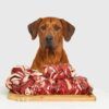 recetas barf perros grandes