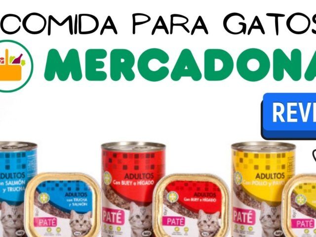 https://recetasbarf.com/wp-content/uploads/2022/02/comida-gatos-mercadona-640x480.jpg