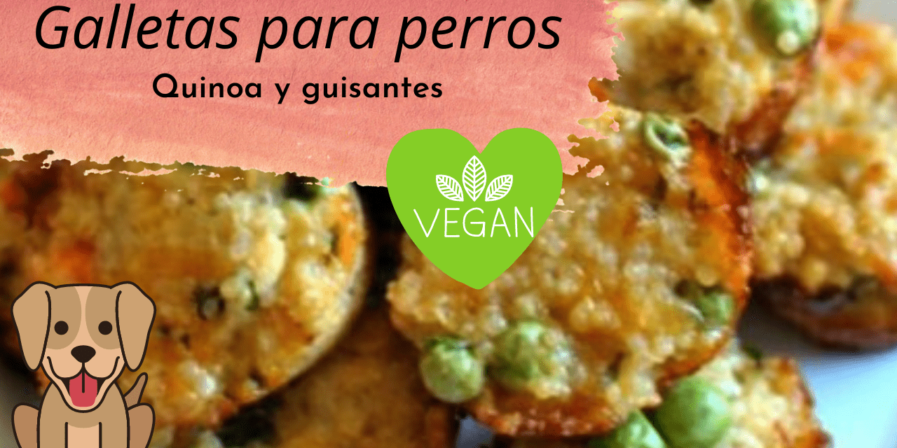 https://recetasbarf.com/wp-content/uploads/2022/03/galletas-veganas-para-perros-1280x640.png