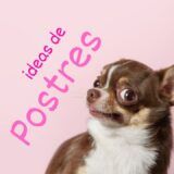 postres para perros