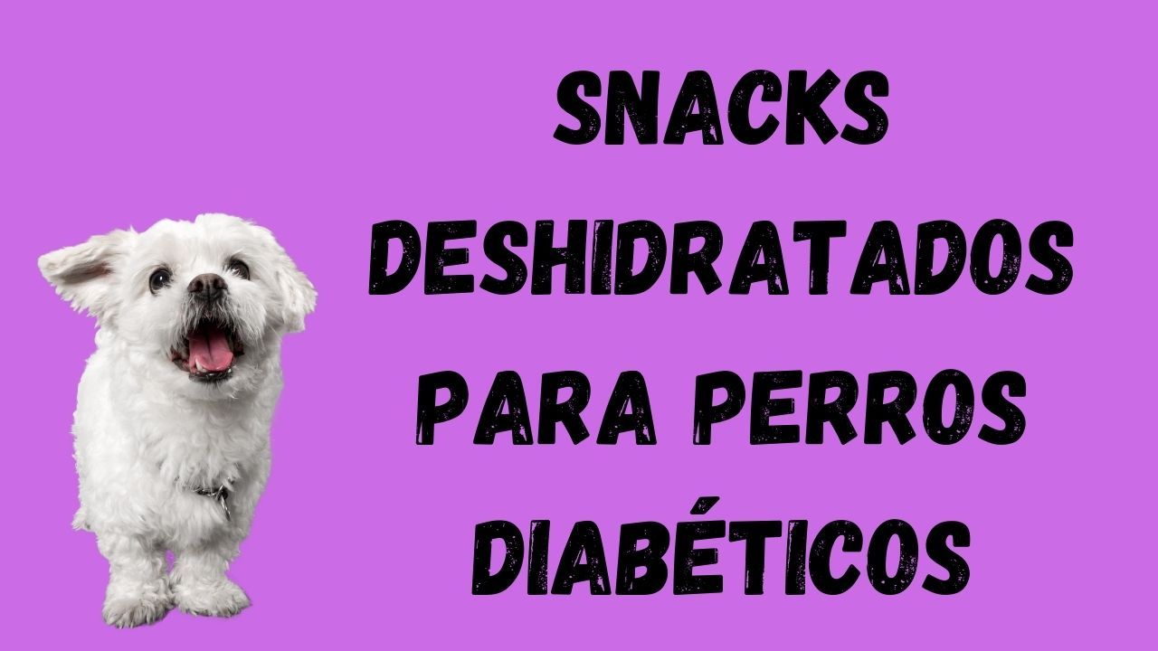 snacks deshidratados para perros diabéticos