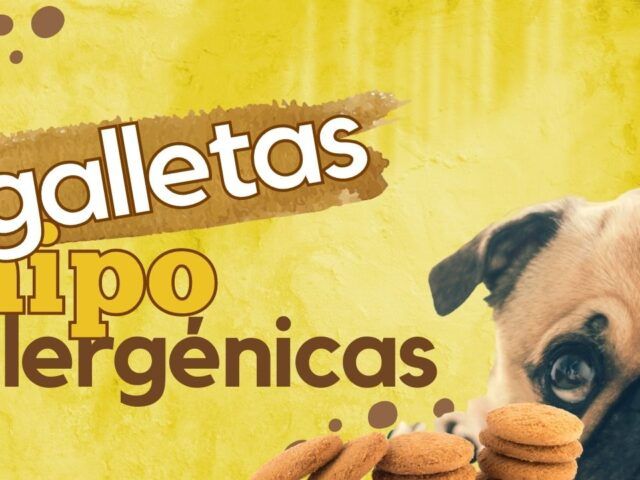 https://recetasbarf.com/wp-content/uploads/2022/04/galletas-hipoalergenicas-para-perros-640x480.jpg