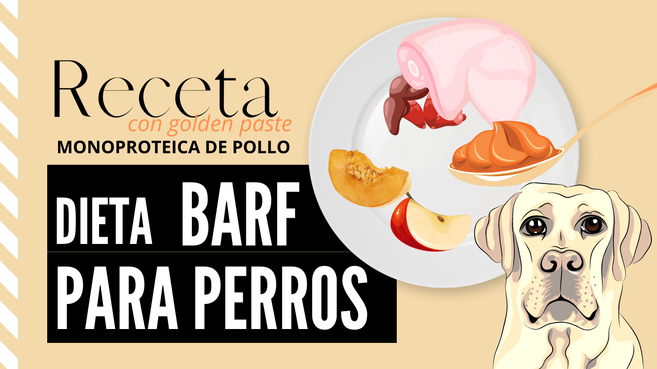 Libro Recetas BARF: #6 Pollo, Manzana y Calabaza | RECETAS BARF