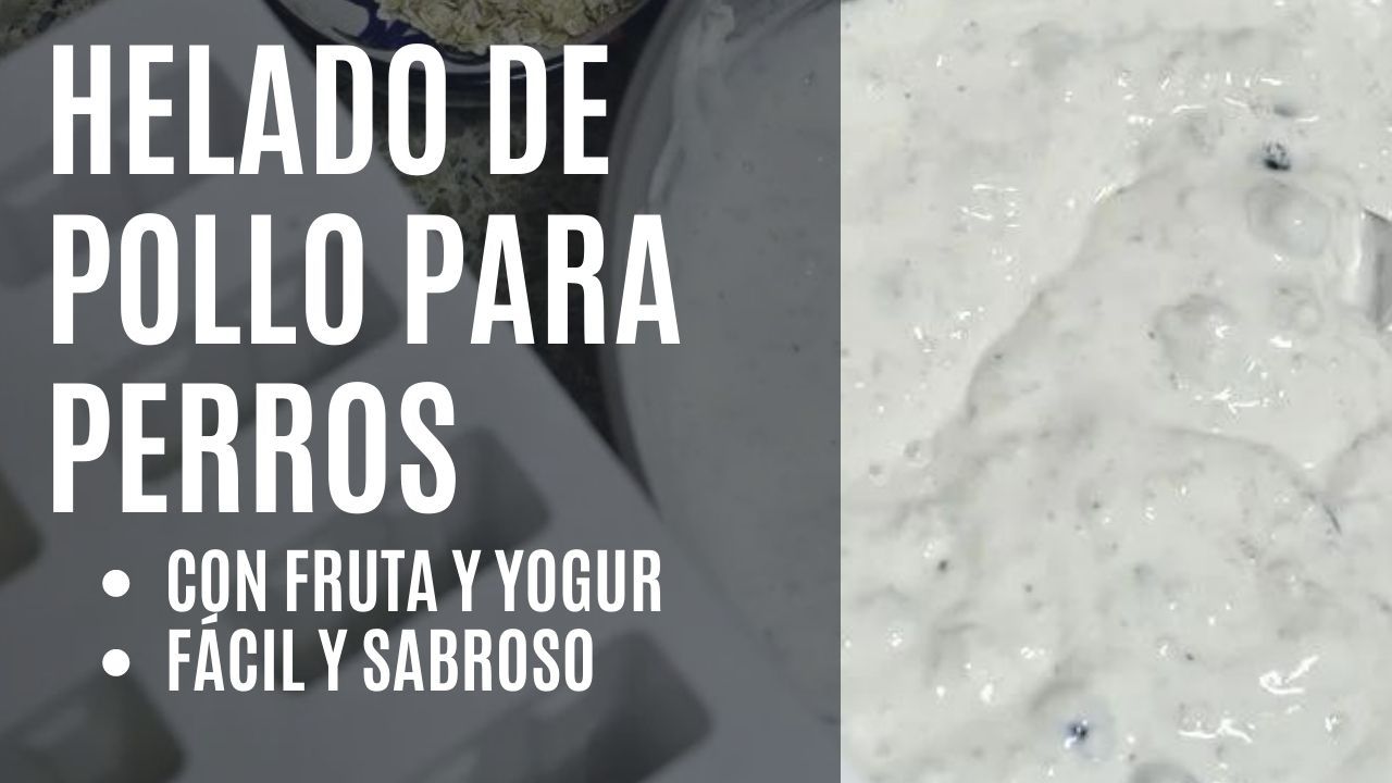 helado de pollo para perros