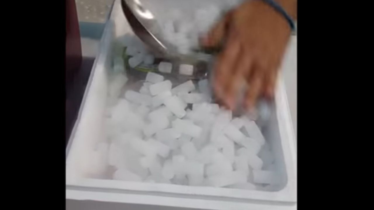 Dieta BARF durante las vacaciones de verano 3 hielo seco barf vacaciones