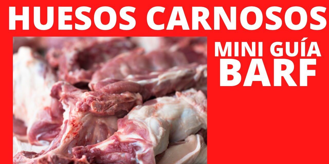 https://recetasbarf.com/wp-content/uploads/2022/07/huesos-carnosos-dieta-BARF-1280x640.jpg