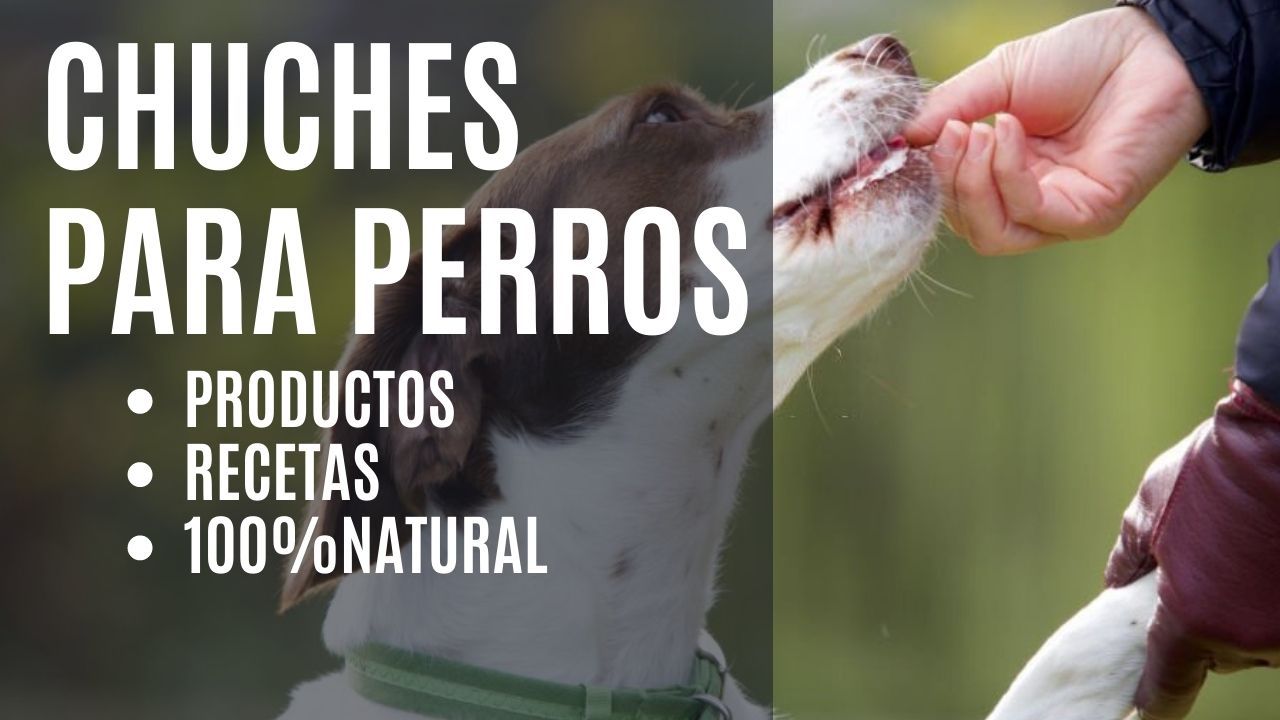 https://recetasbarf.com/wp-content/uploads/2022/08/chuches-para-perros.jpg