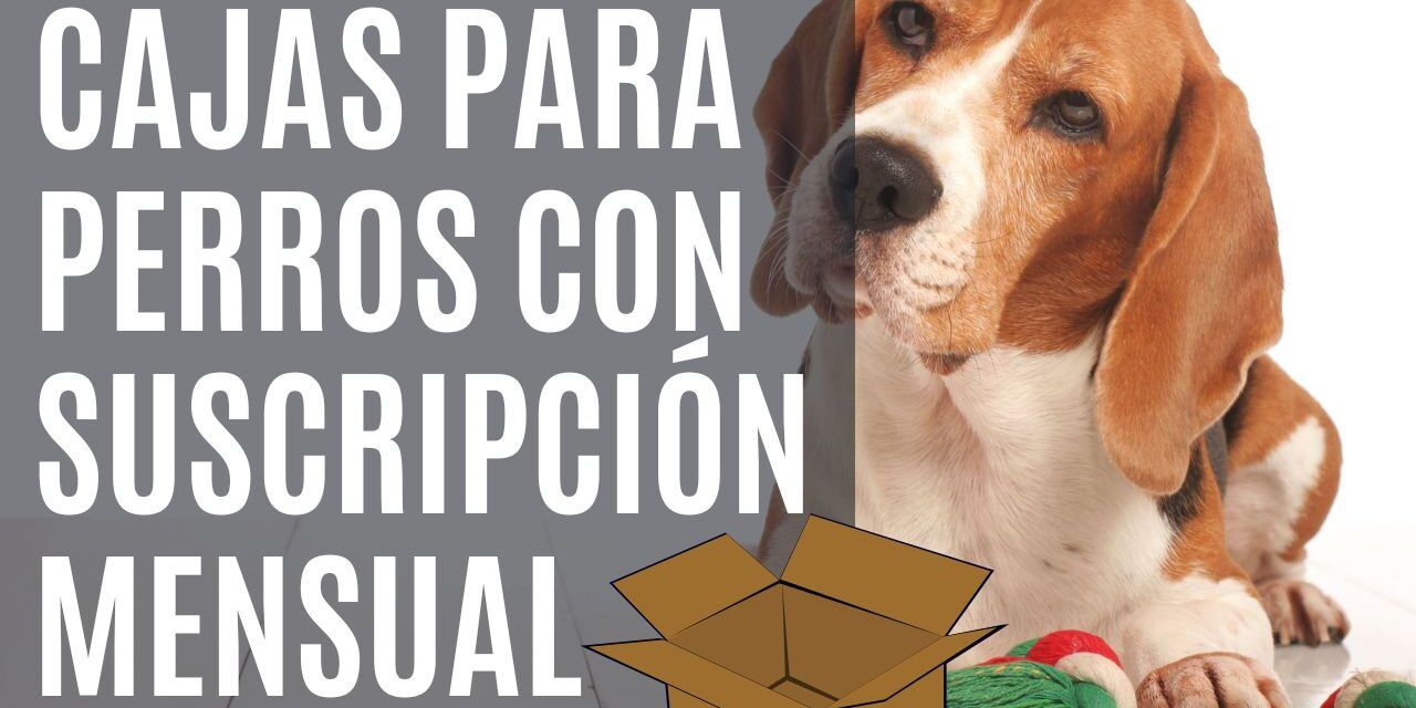 https://recetasbarf.com/wp-content/uploads/2022/09/cajas-mensuales-para-perros-1280x640.jpg
