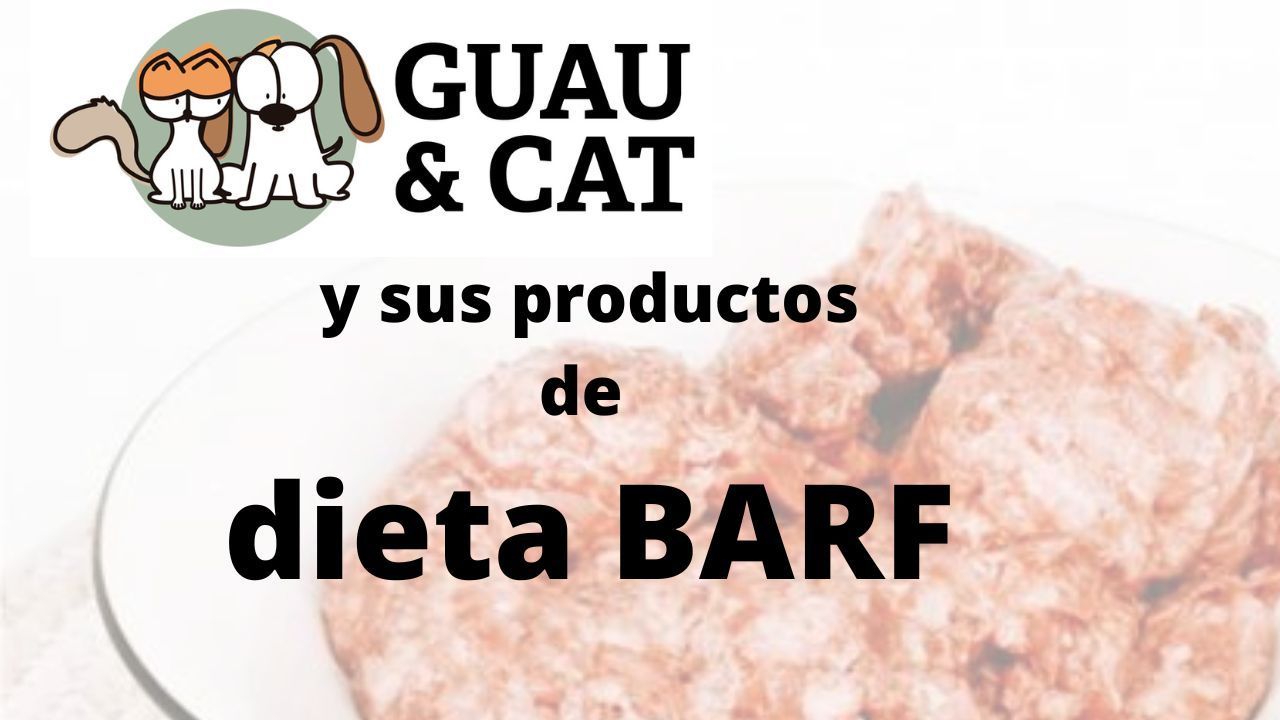 https://recetasbarf.com/wp-content/uploads/2022/09/guau-and-cat-dieta-barf.jpg