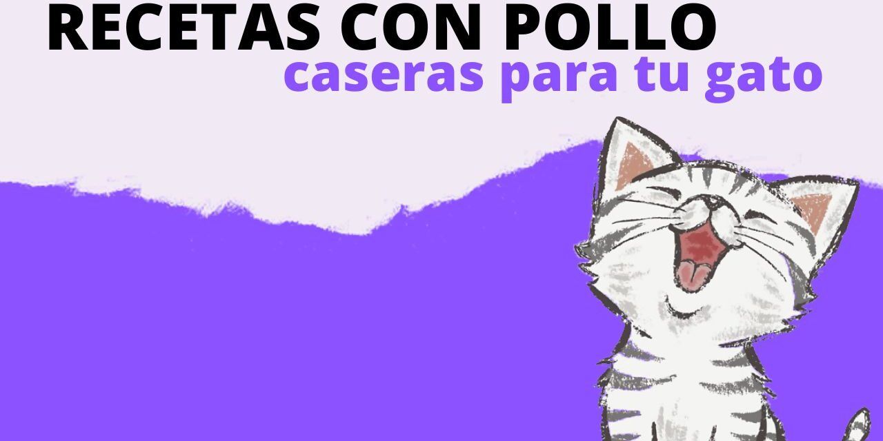https://recetasbarf.com/wp-content/uploads/2022/09/recetas-con-pollo-para-gatos-1280x640.jpg