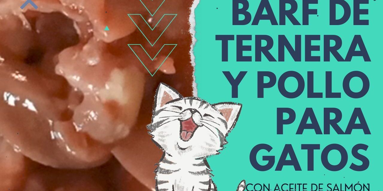 https://recetasbarf.com/wp-content/uploads/2022/10/barf-ternera-y-pollo-gatos-1280x640.jpg