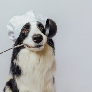 cómo hacer comida casera para perros