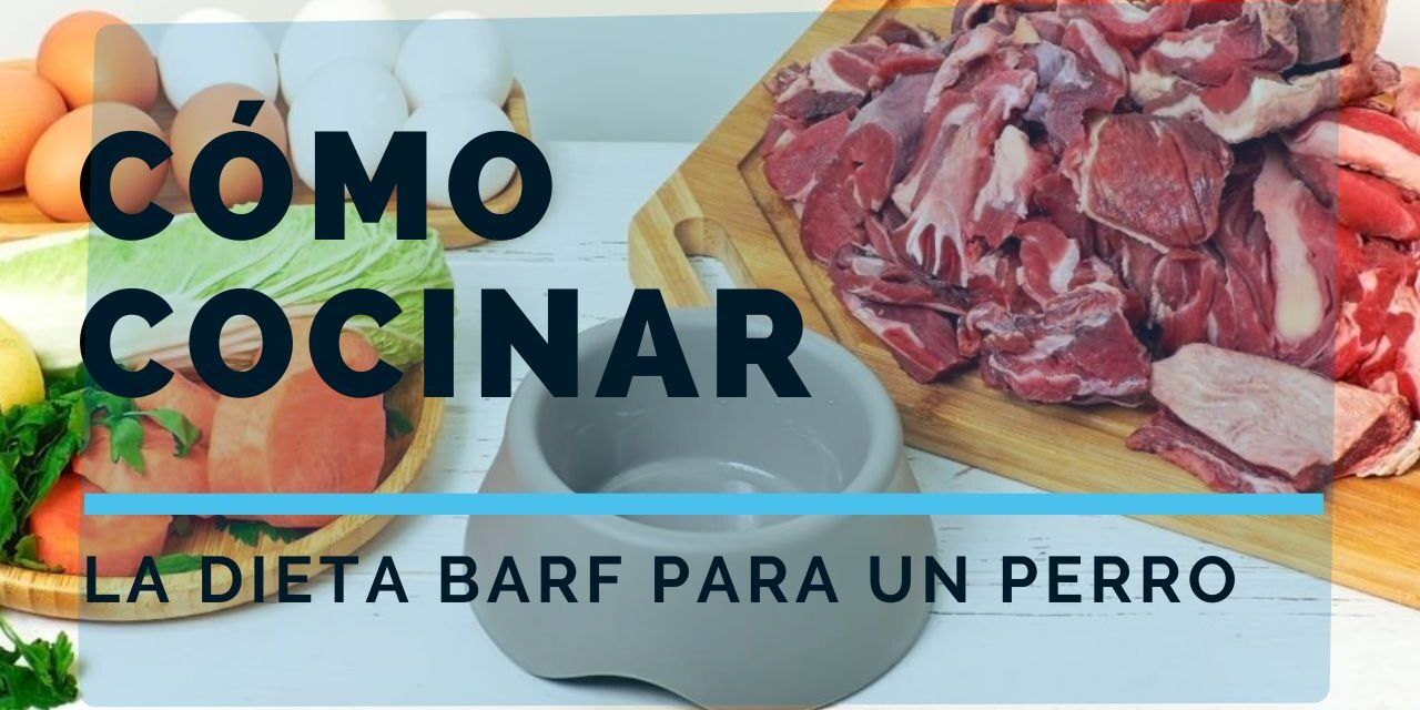 https://recetasbarf.com/wp-content/uploads/2023/01/como-cocinar-la-dieta-barf-para-un-perro-1280x640.jpg