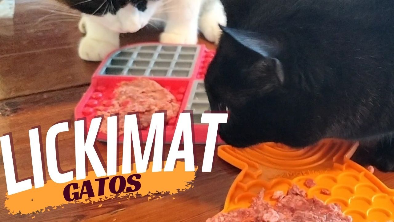 lickimat felix y slomo