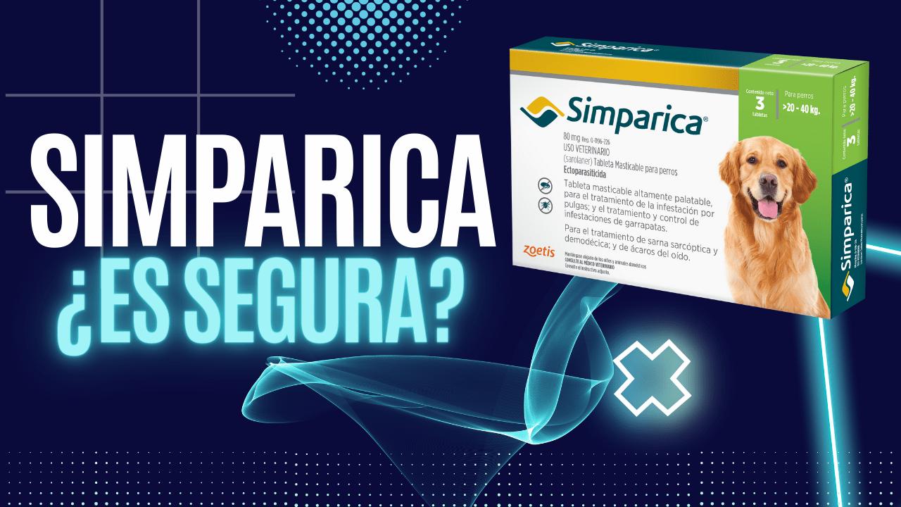 ¿Es simparica un antiparásitos seguro? Nuestra opinión
