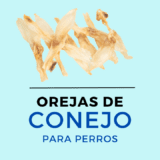 ¿Son buenas las orejas de conejo para los perros?