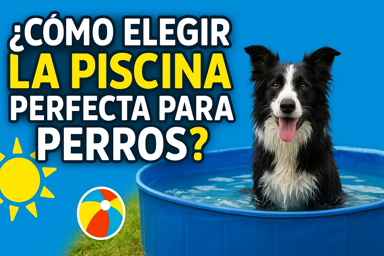 como elegir piscina para tu perro