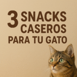 Snacks naturales y fáciles para gatos sin conservantes ni cereales