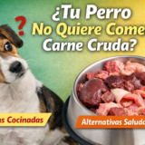 perro no quiere comer carne cruda
