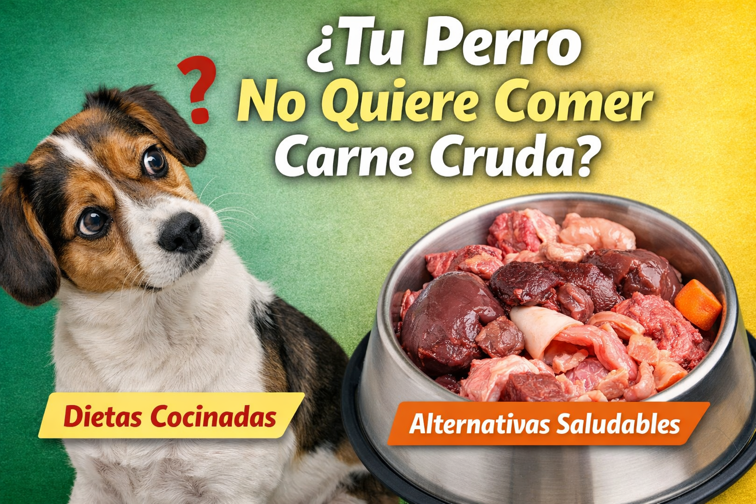perro no quiere comer carne cruda