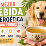 bebida energetica perros