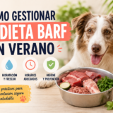dieta barf verano